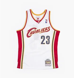 Майка мужская Mitchell & Ness Nba Swingman Jersey Cleveland Cavaliers 2003-04 Lebron James White SMJYCP19209-CCAWHIT03LJA