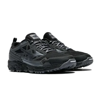 Кросівки унісекс Mizuno Wave Daichi Ls Black/Metallic D1GA260101