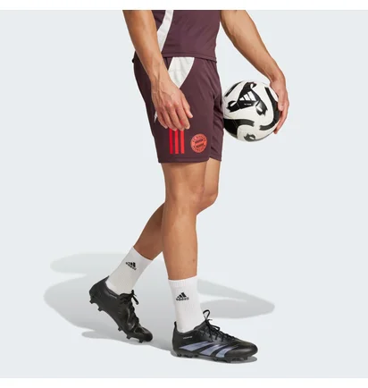 Шорты мужские Adidas Fc Bayern Tiro 24 Training Bordo IS9949