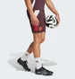Шорты мужские Adidas Fc Bayern Tiro 24 Training Bordo IS9949