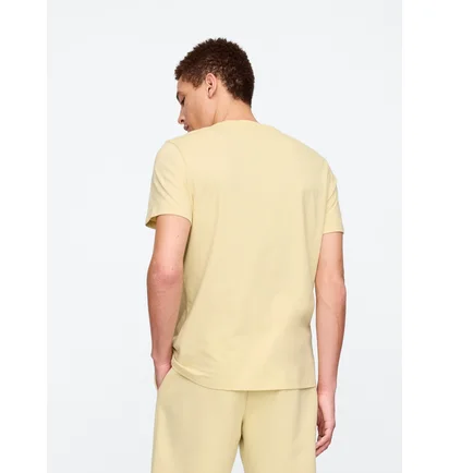 Футболка мужская Gap Everyday Soft Logo T-Shirt Beige 855769181