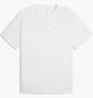 Футболка чоловіча Puma Evostripe White 692189-02