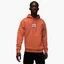 Худи мужское Air Jordan Brand Flight Fleece Hoodie Orange DQ7338-812