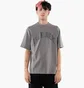 Футболка чоловіча Air Jordan X A Ma Maniere Ss Tee Flat Pewter Grey HF0538-029