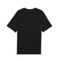 Футболка чоловіча Puma Graphic Sun Black 691781-01