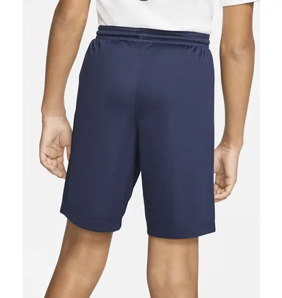 Шорты детские Nike Park Iii Blue Bv6865-410