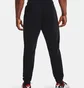 Штаны мужские Under Armour Rival Terry 25Th Anniversary Joggers Black 1361640-001
