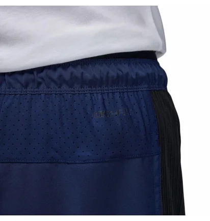 Шорты мужские Air Jordan Dri-Fit Sport Blue DZ0573-410