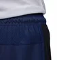 Шорты мужские Air Jordan Dri-Fit Sport Blue DZ0573-410