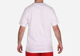 Футболка чоловіча Air Jordan Iconic Jumpman White CJ9671-100
