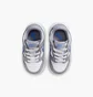 Кроссовки детские Nike Dunk Low (Td) Grey FB9107-121