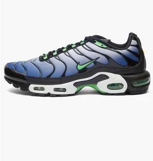 Кроссовки мужские Nike Air Max Plus Blue/Black DX4326-001