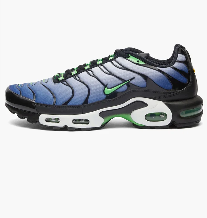 Кроссовки мужские Nike Air Max Plus Blue/Black DX4326-001