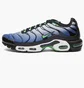Кроссовки мужские Nike Air Max Plus Blue/Black DX4326-001