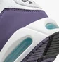 Кросівки жіночі Nike Womens Shoes White/Violet 511417-153