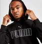 Худи мужское Puma Core Large Logo Black 845960-03