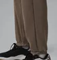 Штаны мужские Air Jordan Sport Crossover Brown FV8608-040