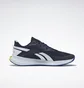 Кроссовки мужские Reebok Energen Run 2 Blue/White GY5179