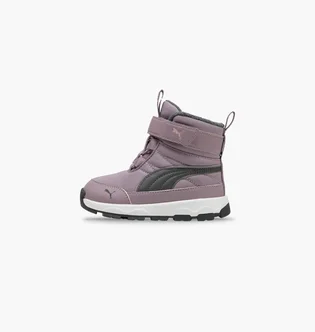 Черевики дитячі Puma Evolve Violet 392646-09