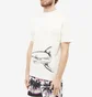 Футболка чоловіча Palm Angels Broken Shark Tee Beige PMAA001S23JER0010410