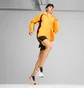 Ветровка мужская Puma Run Rain Jacket Orange 525799-38