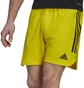 Шорти чоловічі Adidas Shorts Con22 Md Sho Yellow HA3511