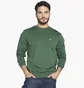 Лонгслів чоловічий Lacoste Logo Sweatshirt Green SH9608-51-SMI