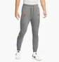 Штани чоловічі Nike Liverpool 21/22 Dri-Fit Travel Pant Grey DB7876-088