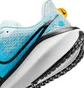 Кроссовки мужские Nike Vomero 17 Light Blue FB1309-401
