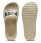 Тапочки жіночі Puma Divecat V2 Lite Beige 374823-25