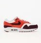 Кросівки чоловічі Nike Air Max 1 Multi FN6952-102