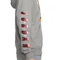 Худі чоловіче Air Jordan Sport Dna Grey CV2984-091