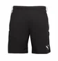 Шорти чоловічі Puma Team Liga Training Short Black 65724903