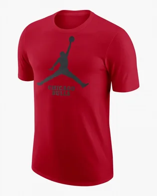 Футболка мужская Air Jordan T-Shirt Nba Chicago Bulls Essential Red FD1460-657