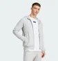 Футболка мужская Adidas Fc Bayern 25/26 Seasonal Graphic White JM9446
