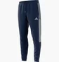Штаны мужские Adidas Tiro21 Wov Pnt Blue Gh4470