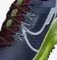 Кроссовки мужские Nike Pegasus Trail 4 Blue DJ6158-403