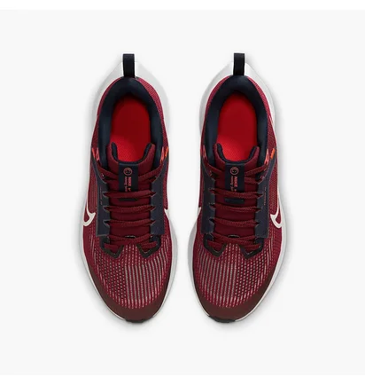 Кросівки дитячі Nike Air Zoom Pegasus 40 Gs Bordo DX2498-009