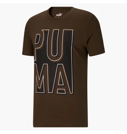 Футболка мужская Puma Outside The Box Logo Tee Brown 674615-62