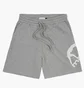 Шорти чоловічі Manto Shorts Logo Grey 3461