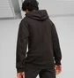 Худи мужское Puma Better Sportswear Black 676064-01