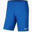 Шорты детские Air Jordan Jr Park Iii Knit Blue Bv6865-463