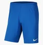 Шорти дитячі Air Jordan Jr Park Iii Knit Blue Bv6865-463