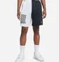 Шорты мужские Nike Dri-Fit Shorts Black/White Dh7164-101