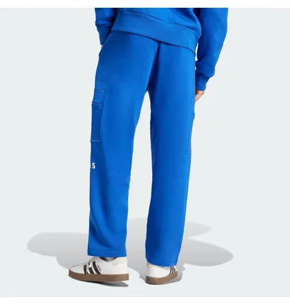 Штани чоловічі Adidas All Szn Fleece Graphic Loose Sportswear Blue JJ3663