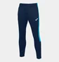 Штани чоловічі Joma Eco Championship Long Pants Blue 102752.342