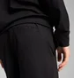 Шорты мужские Puma Cloudspun Branded 5 Black 526690-01