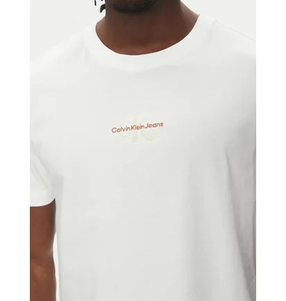 Футболка чоловіча Calvin Klein Monologo Regular Fit White J30J325649-YBI