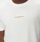Футболка чоловіча Calvin Klein Monologo Regular Fit White J30J325649-YBI