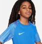 Футболка детская Nike Dri-Fit Academy Blue DH8369-463